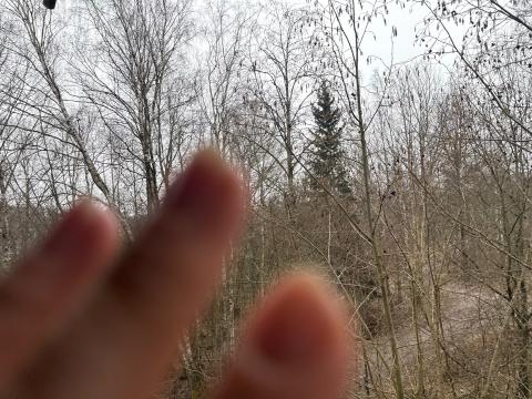 Foto: Enriika Vunk, Eriti halb pilt Soomest Foto: Enriika Vunk, Eriti halb pilt Soomest