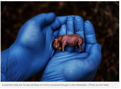 Foto: kuvatõmmis /Nat Geo