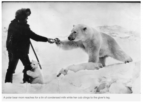 Foto: kuvatõmmis /Petapixel