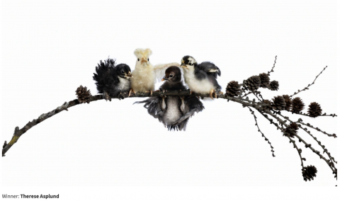 Foto: 2025 parim foto /kuvatõmmis Foto: 2025 parim foto /kuvatõmmis