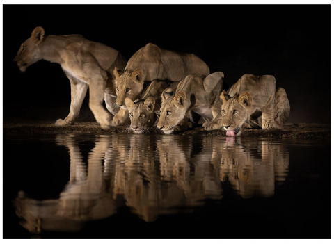 Foto: kuvatõmmis /Petapixel