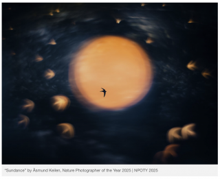 Foto: kuvatõmmis, 2025 aasta fotograaf ja foto